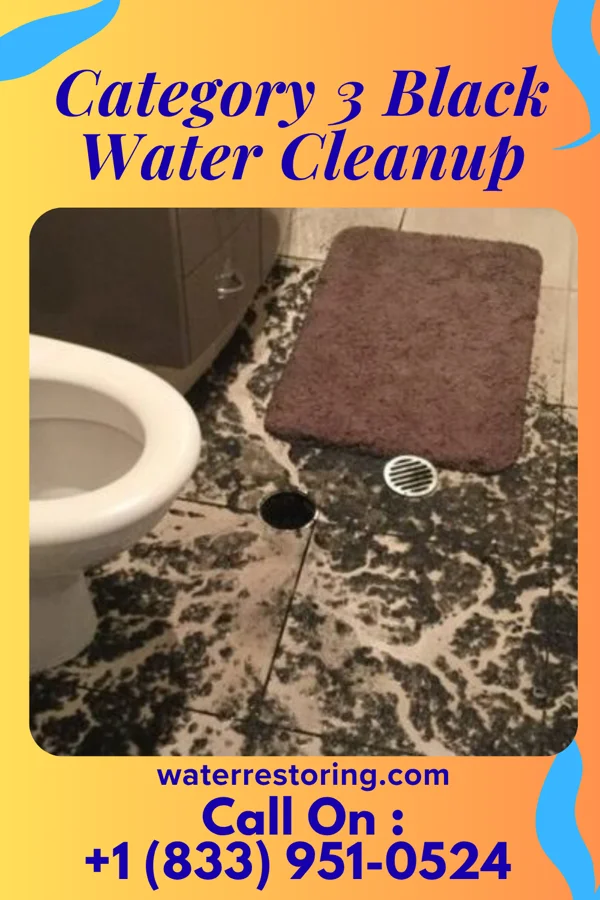 Category 3 Black Water Cleanup in North Adams, MA
