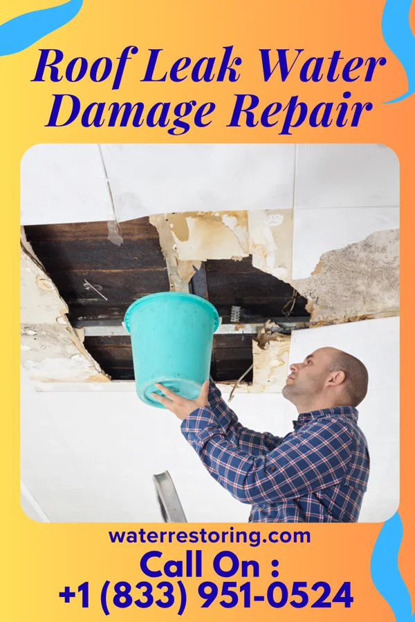 Roof Leak Water Damage Repair in North Adams, MA