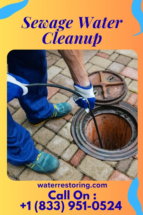 Sewage Water Cleanup in North Adams, MA