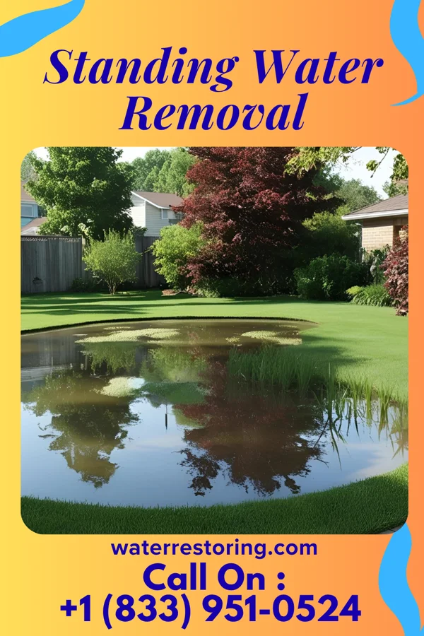 Standing Water Removal in North Adams, MA